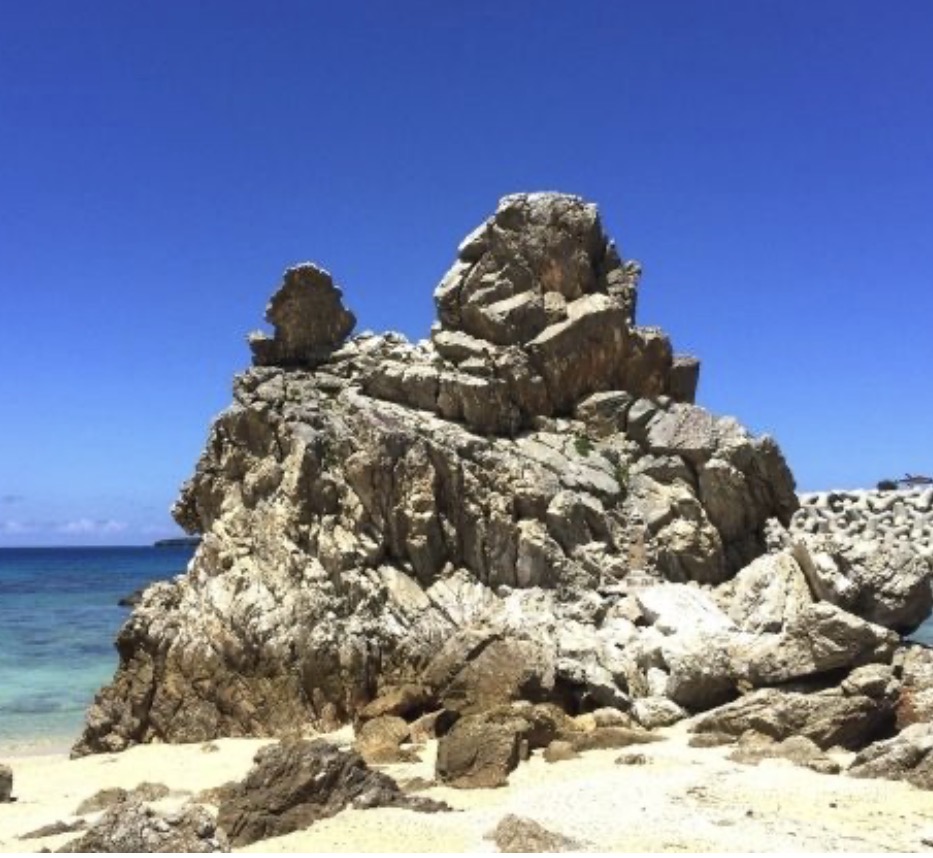 久しぶりの海活